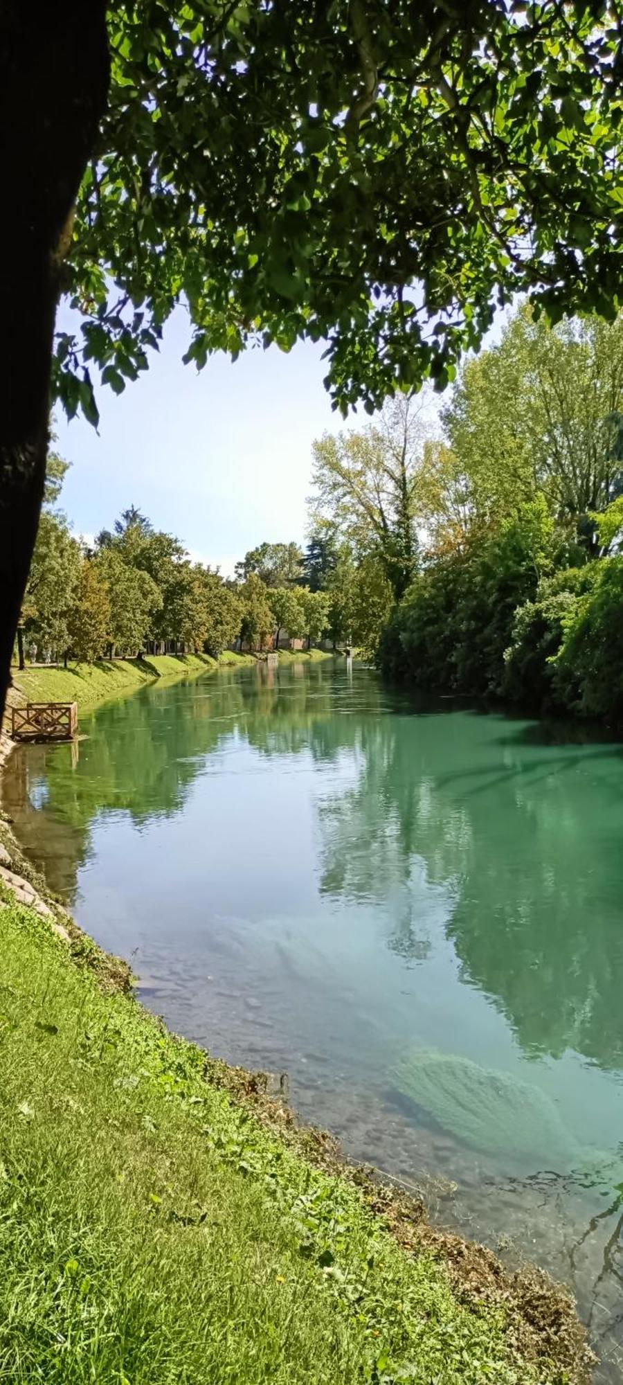 Amalteo 3 Lejlighed Treviso Eksteriør billede